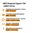 ИБП Энергия Гарант 750 + Аккумулятор S 55 Ач - 12В (450Вт - 67мин) - ИБП и АКБ - ИБП для котлов - . Магазин оборудования для автономного и резервного электропитания Ekosolar.ru в Уссурийске