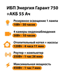 ИБП для котла Энергия Гарант 750 + Аккумулятор 55 Ач 12 В (450Вт - 67мин) - ИБП и АКБ - ИБП для котлов - . Магазин оборудования для автономного и резервного электропитания Ekosolar.ru в Уссурийске