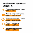 ИБП для котла Энергия Гарант 750 + Аккумулятор 75 Ач 12 В (450Вт - 91мин) - ИБП и АКБ - ИБП для котлов - . Магазин оборудования для автономного и резервного электропитания Ekosolar.ru в Уссурийске
